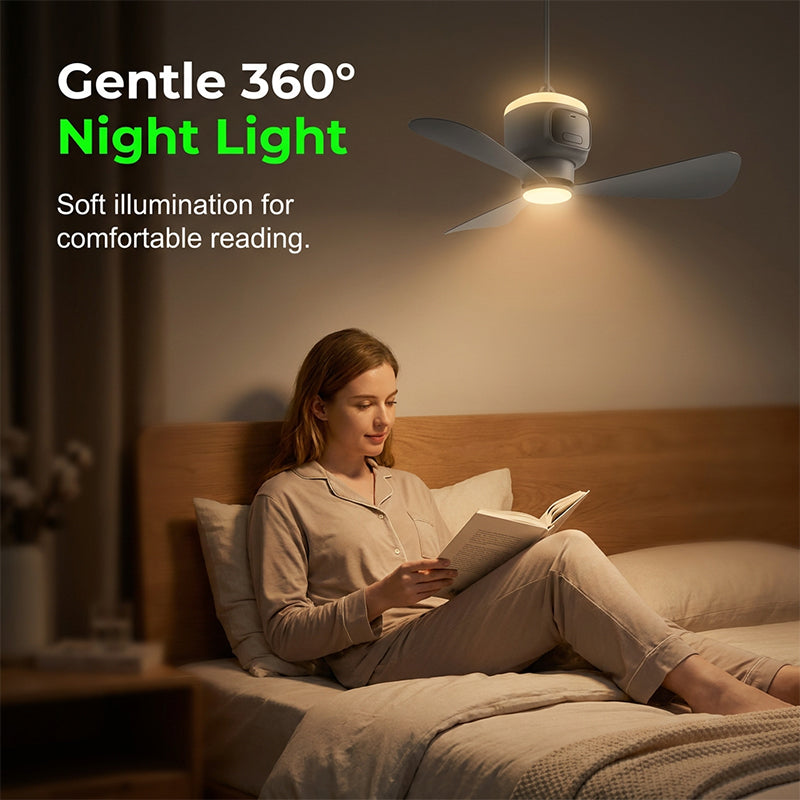 🌀💥 PROMO FLASH 57% ! Ventilateur Suspendu Rechargeable avec Lumière – 12000mAh, Silencieux, Télécommande, Minuterie, Idéal Camping & Maison ✨