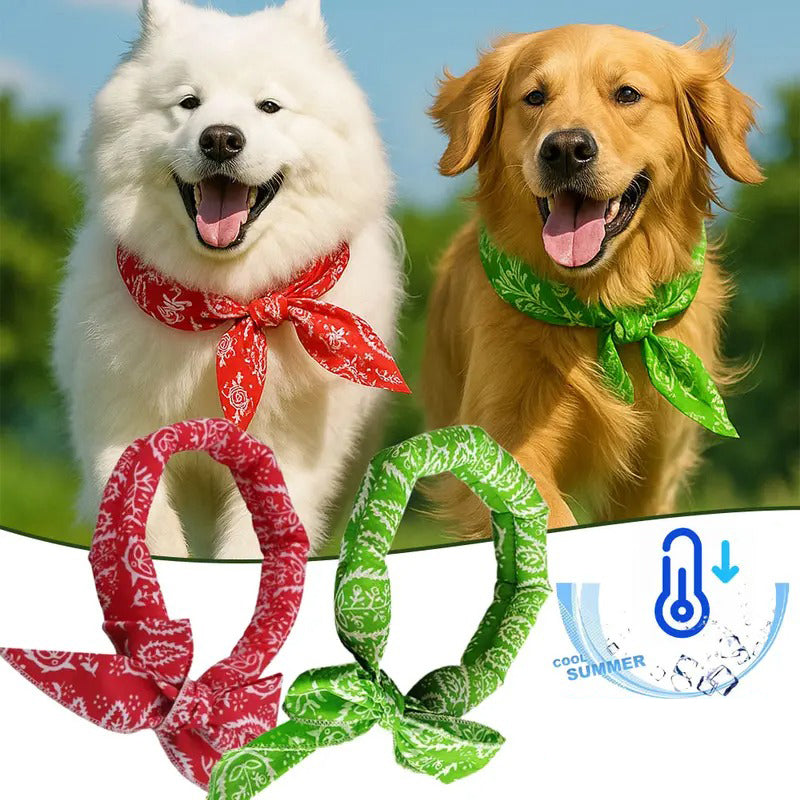 🐶🐱❄️ Bandana Rafraîchissant d'Été pour Animaux