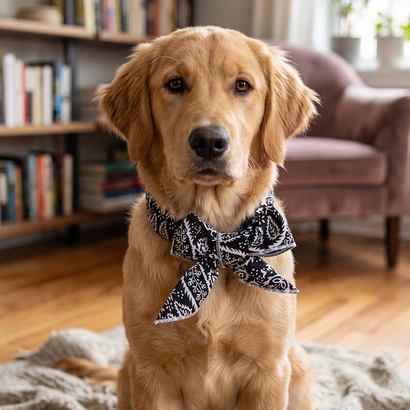 🐶🐱❄️ Bandana Rafraîchissant d'Été pour Animaux